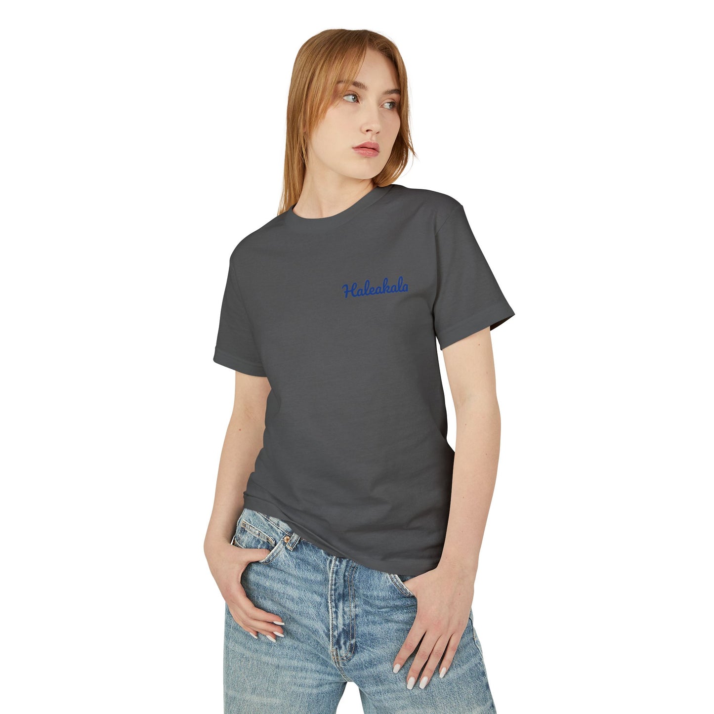 Haleakalā National Park Watercolor T-Shirt