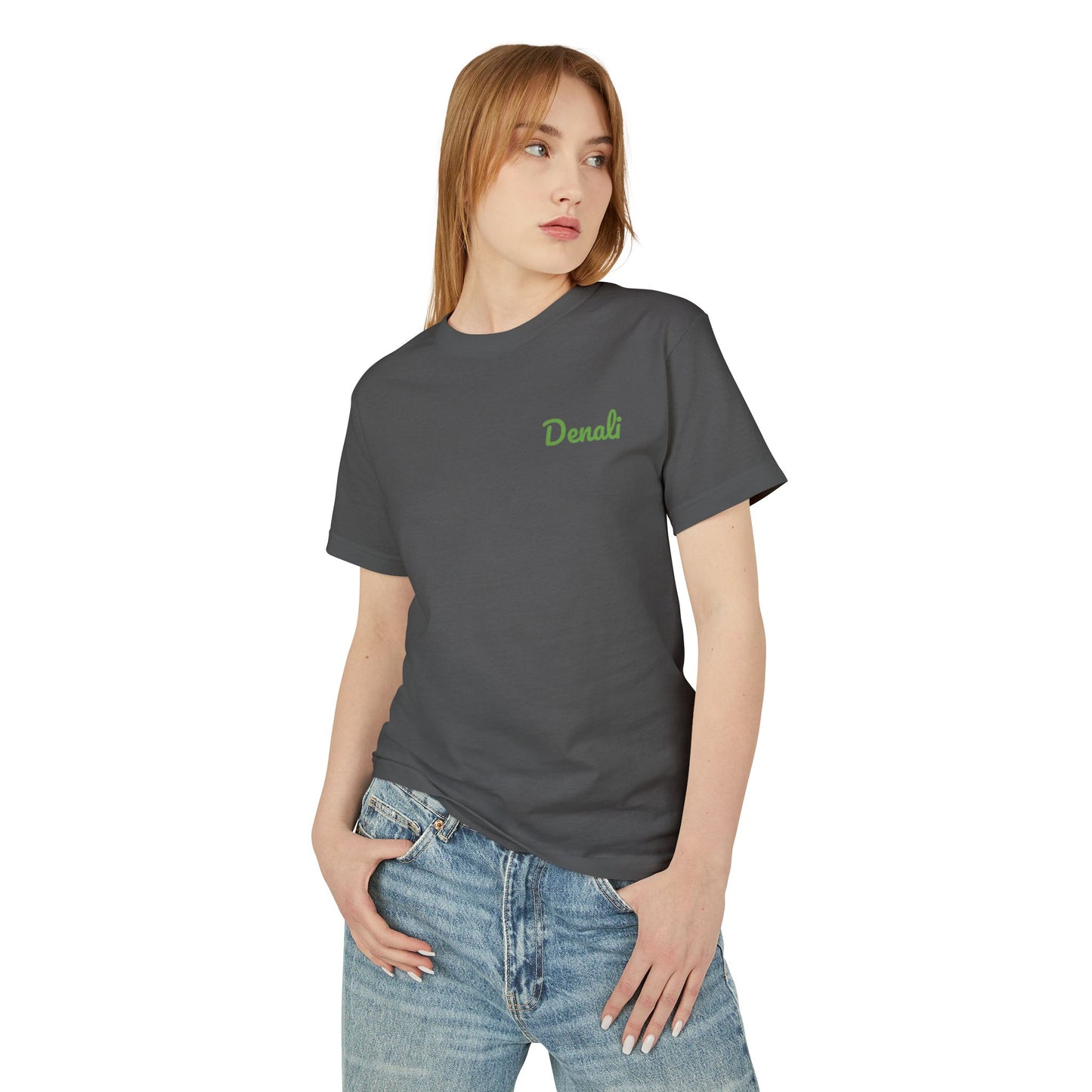 Denali National Park Watercolor T-Shirt