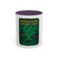 Voyageurs National Park Northern Lights Mug (11oz)