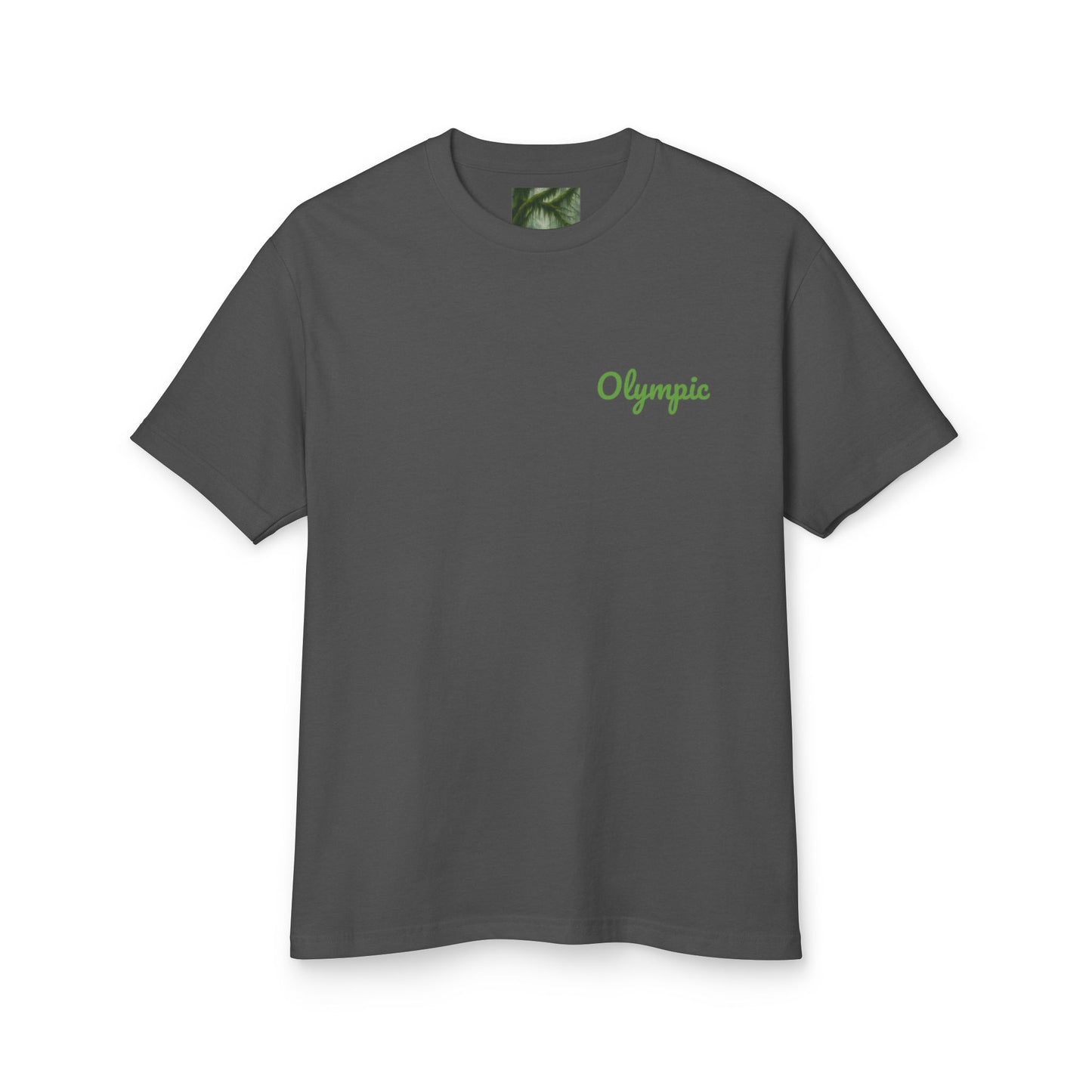 Olympic National Park Watercolor T-Shirt