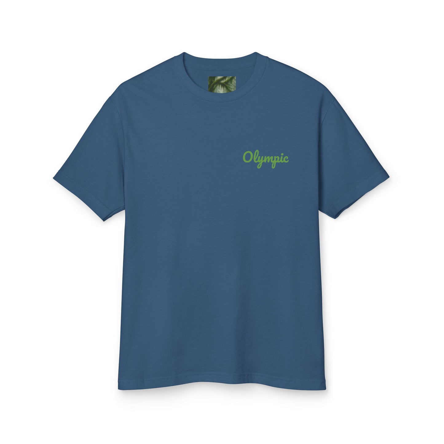 Olympic National Park Watercolor T-Shirt