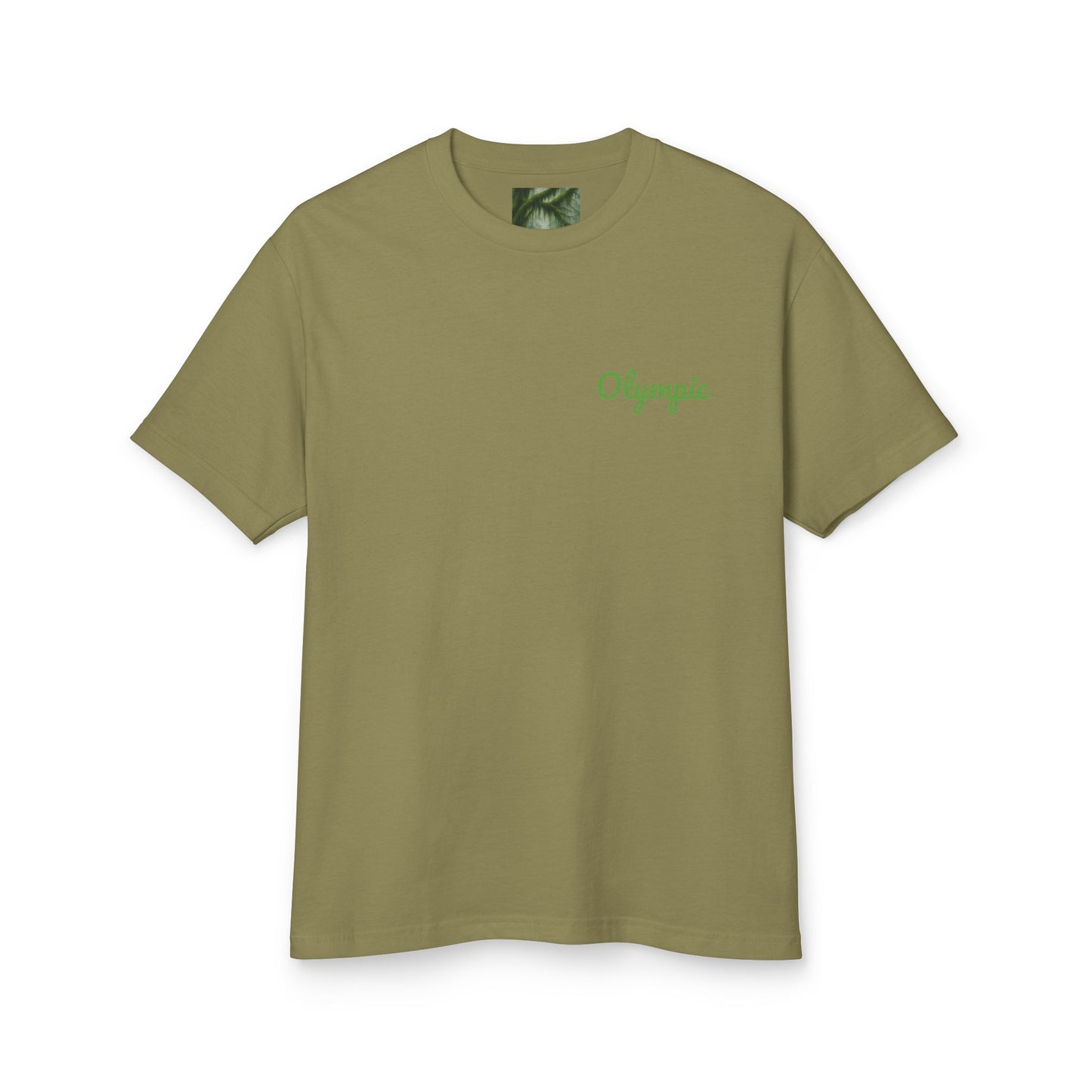Olympic National Park Watercolor T-Shirt