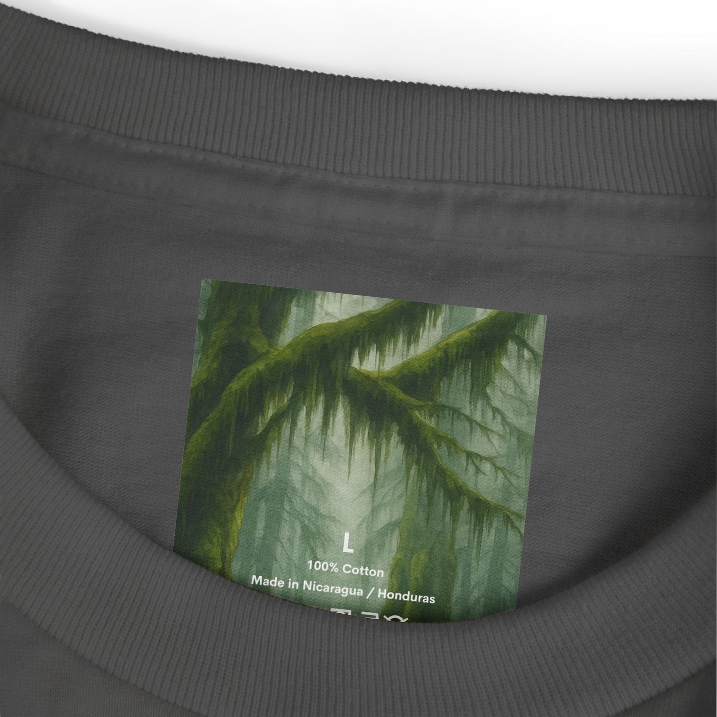 Olympic National Park Watercolor T-Shirt