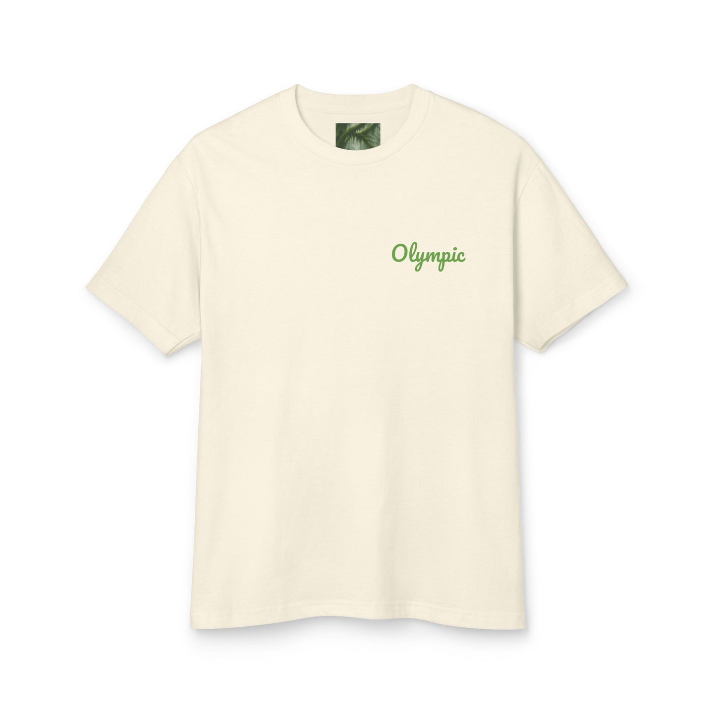 Olympic National Park Watercolor T-Shirt